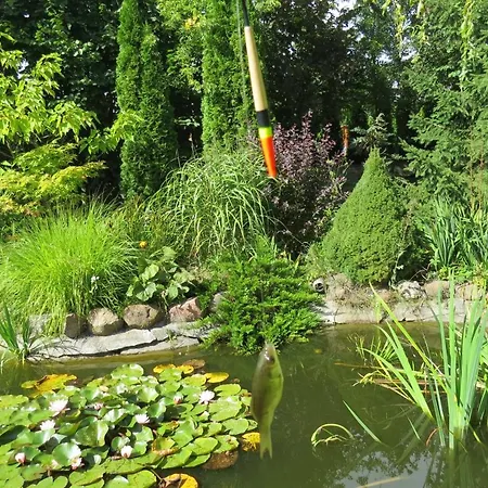 招待所 Goscinne Liber