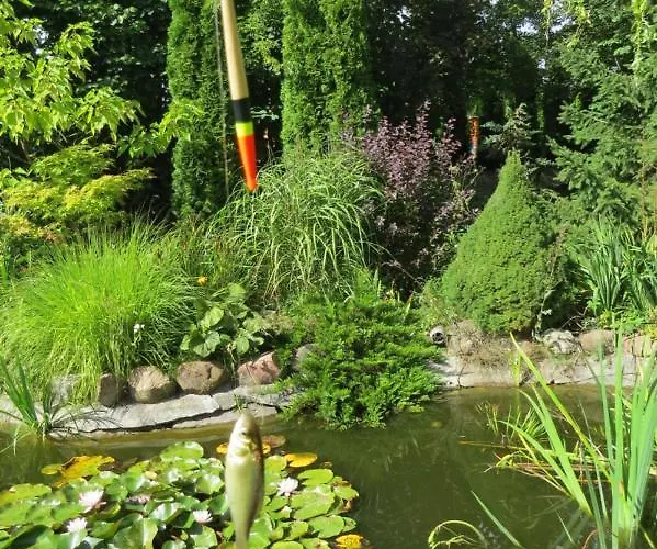 بيت ضيافة Goscinne Liber